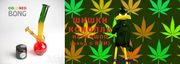 PSILOCYBIN Елабуга