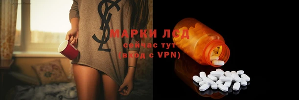 бошки Аркадак