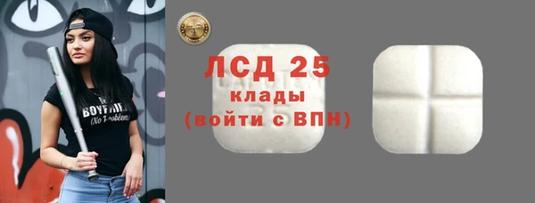 бошки Ельня
