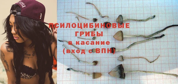 бошки Аркадак