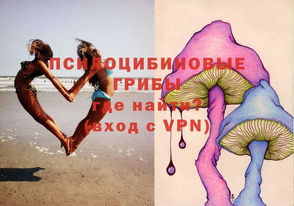 бошки Аркадак