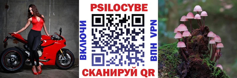 Галлюциногенные грибы MAGIC MUSHROOMS Белая Калитва