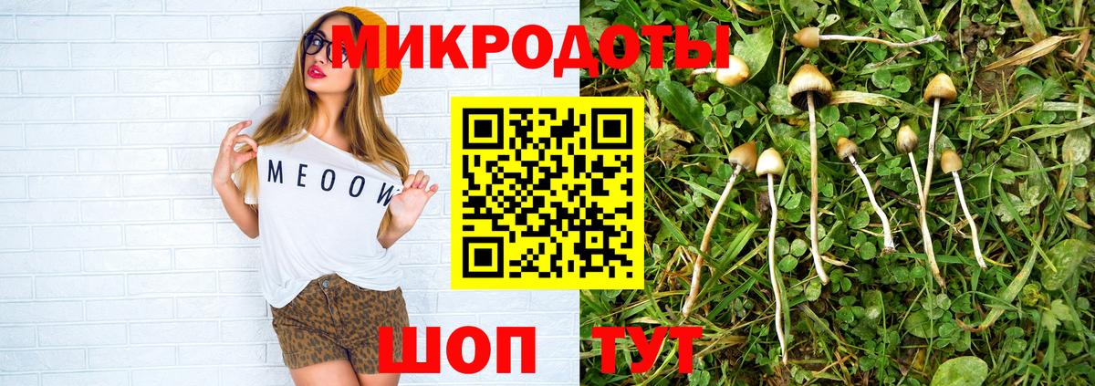 Галлюциногенные грибы мицелий Белая Калитва