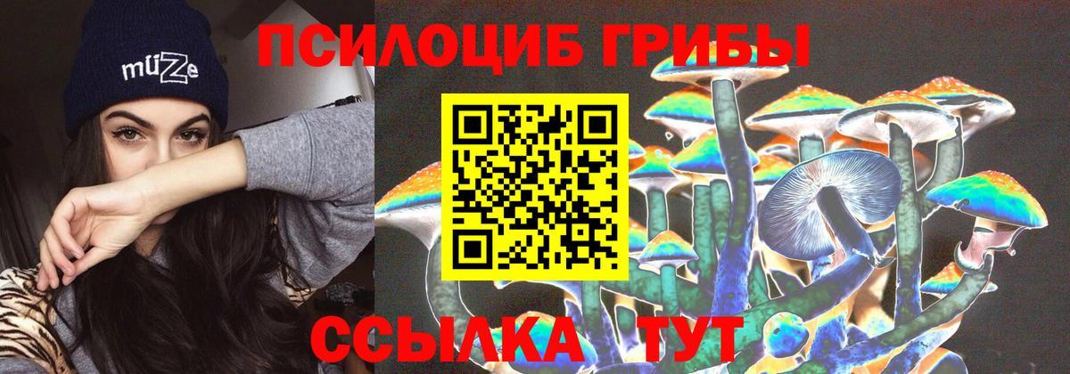 Белая Калитва  Галлюциногенные грибы Psilocybe  Вход с VPN 